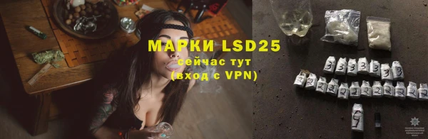 apvp Аркадак
