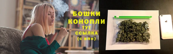 твердый Арсеньев